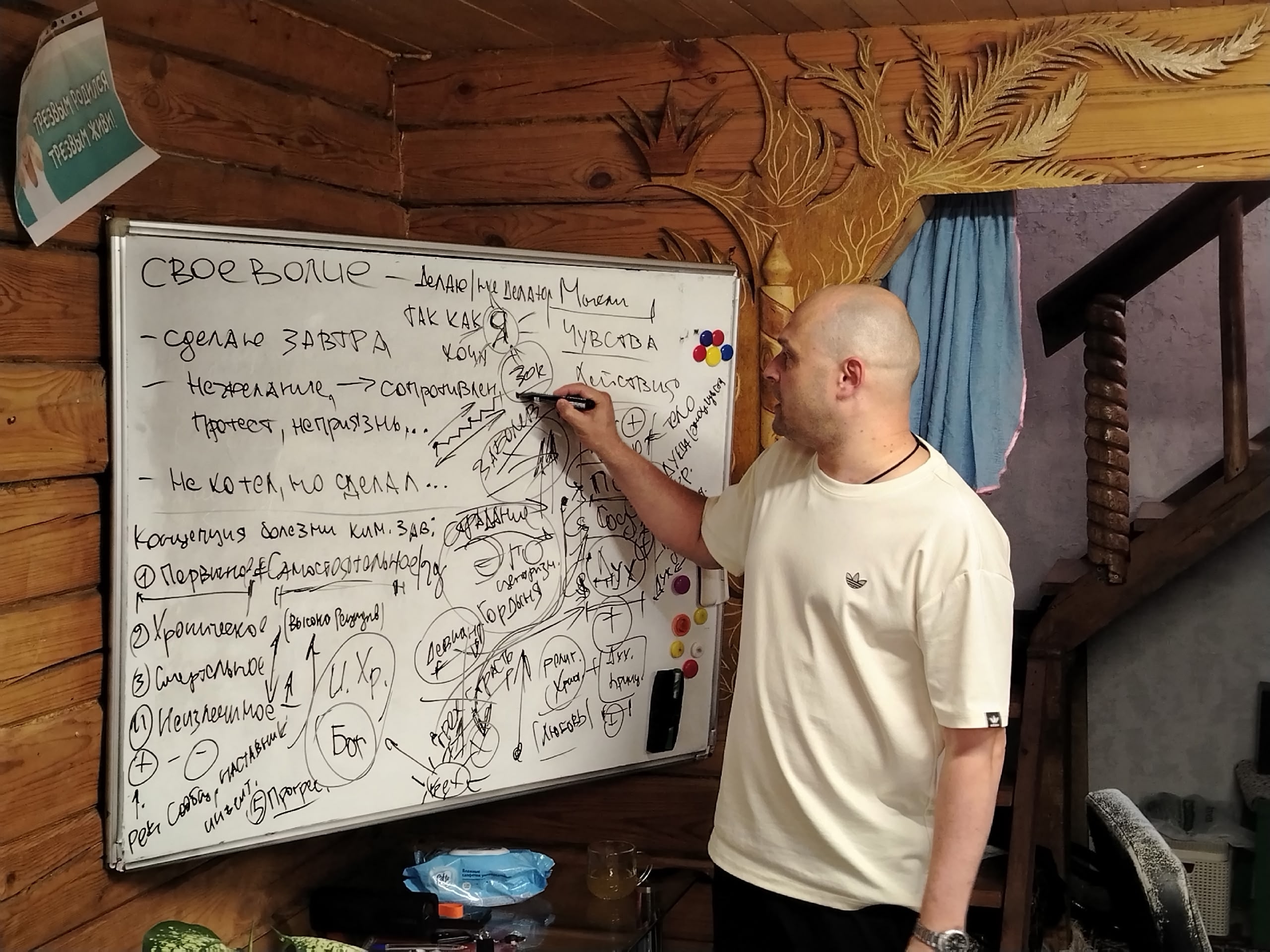  Пробация и реабилитация