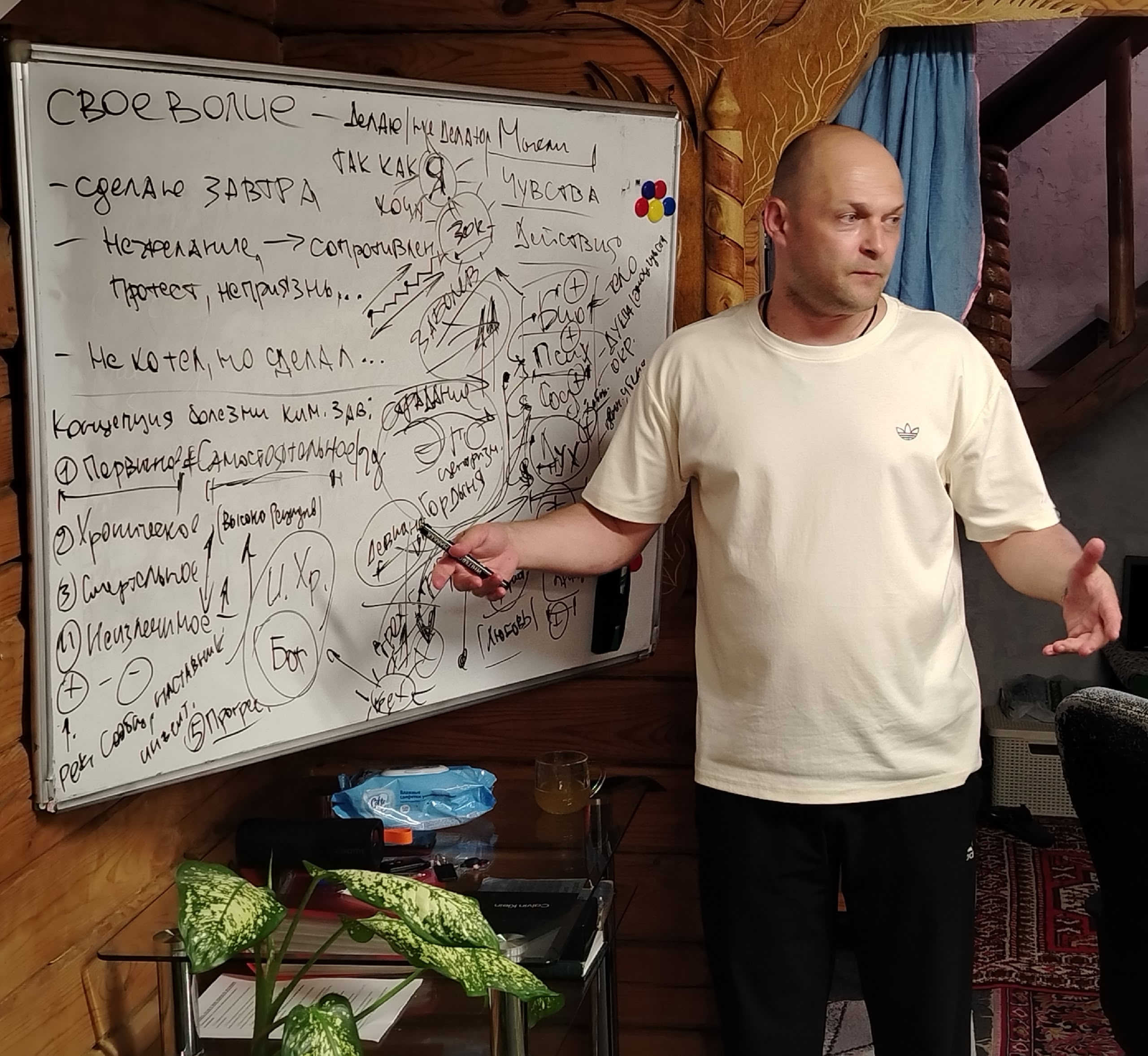  Пробация и реабилитация
