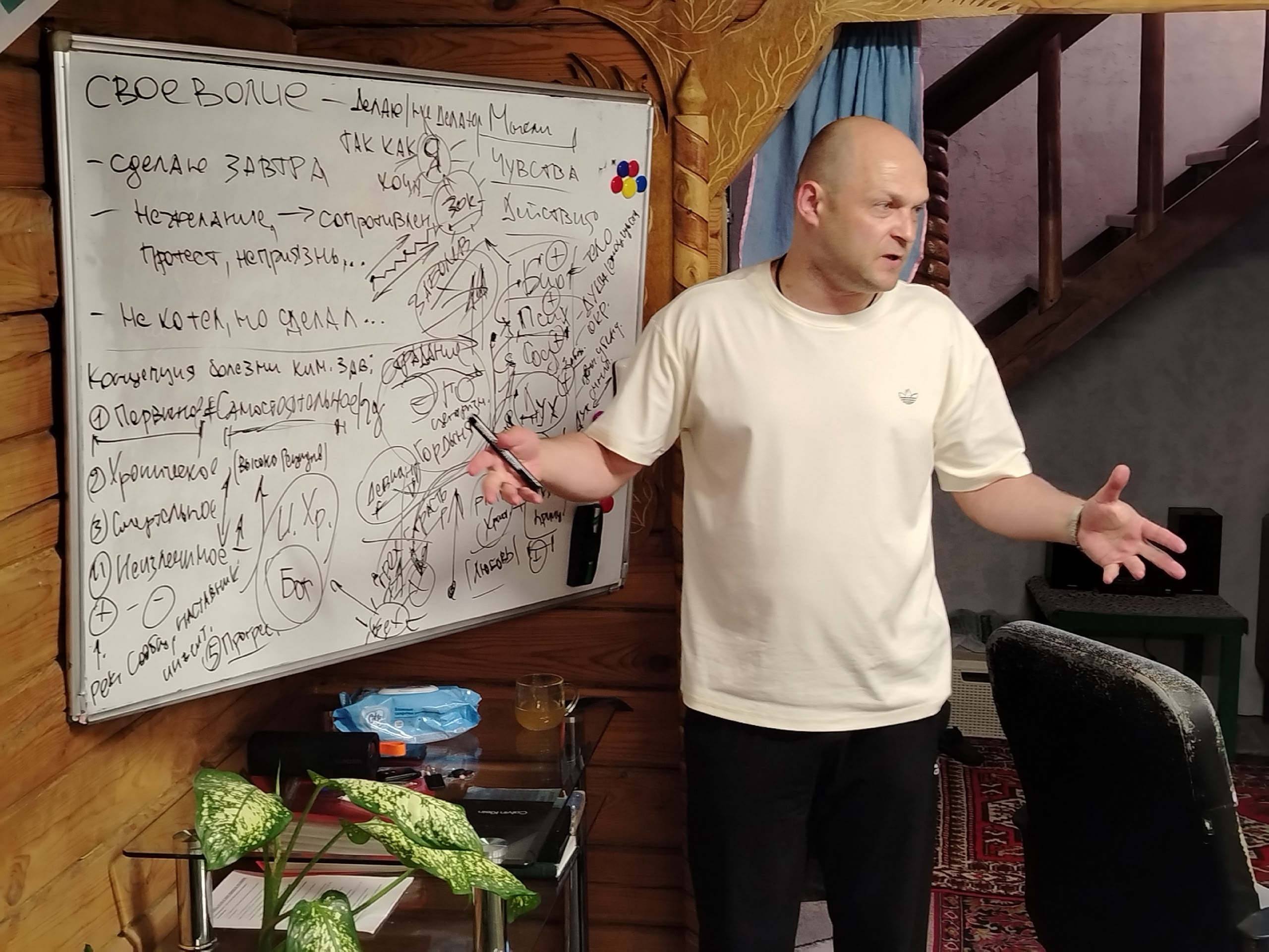  Пробация и реабилитация